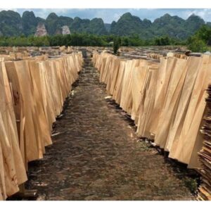 Ván bóc, ván lạng, tấm độn, veneer