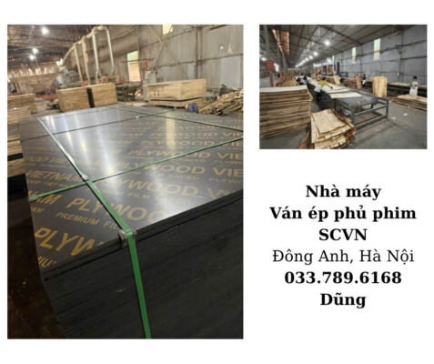kích thước ván ép phủ phim